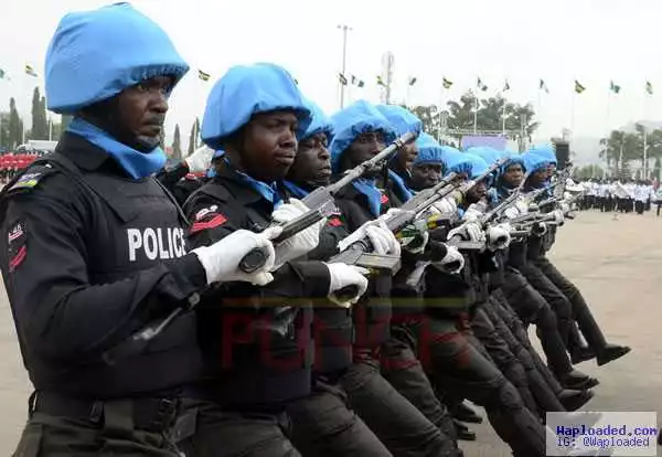 Pipeline vandalism: IG deploys riot policemen, helicopter in Ogun